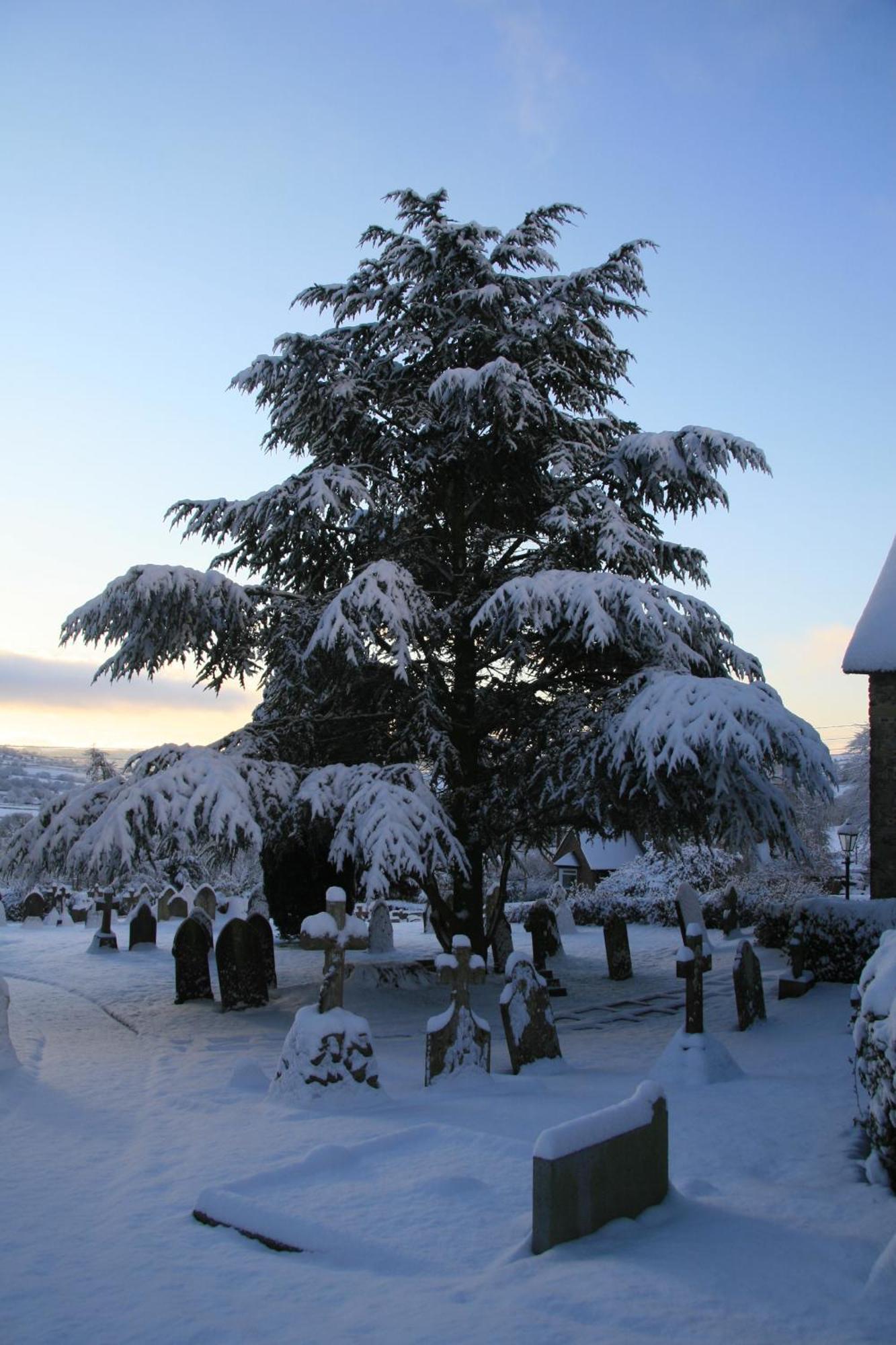 The Belfry At Yarcombe Bed & Breakfast Luaran gambar